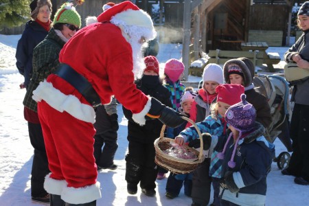 Franc succès du 2è Marché Locavore des Fêtes